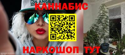 прущие грибы Нягань