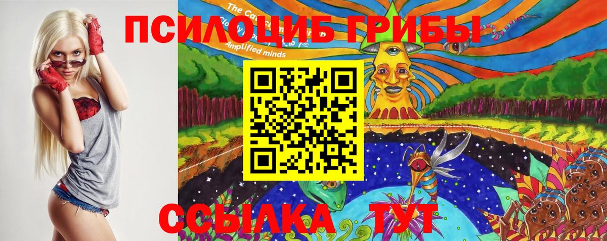 Тихорецк  Галлюциногенные грибы мухоморы  Вход с VPN 